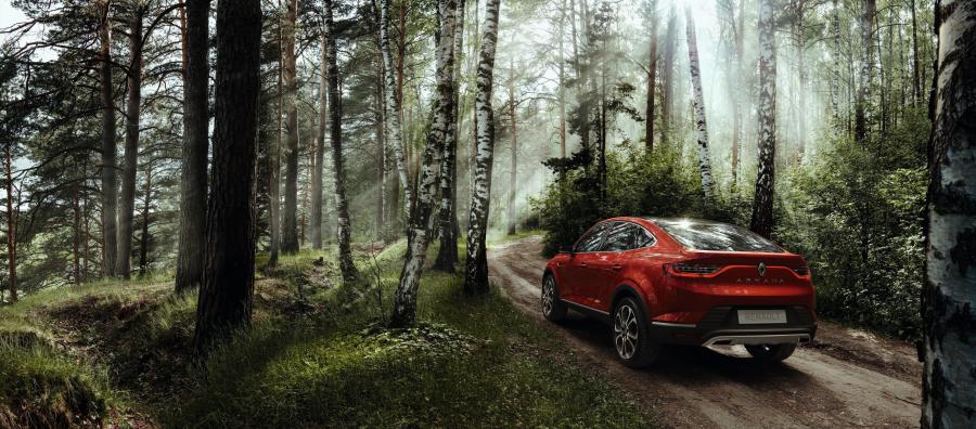  Renault Arkana 2018 года  (фото 9 из 9)